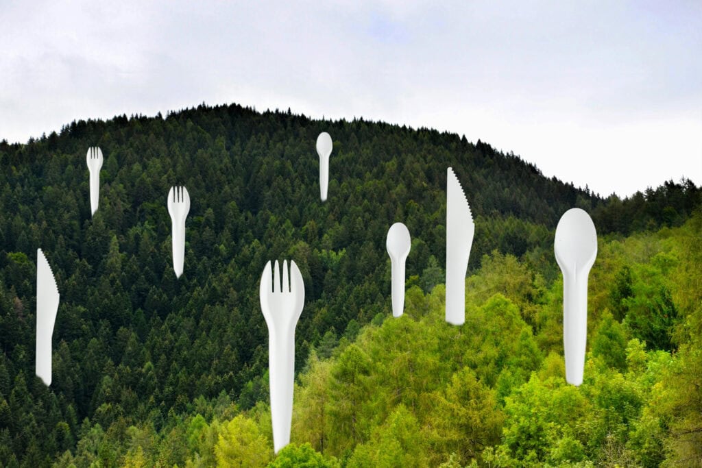 Paper Cutlery Forest